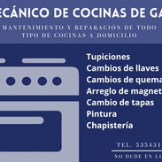 Mecánico de cocinas de gas a domicilio, Chapistería, Tupiciones, pintura, magnetos y más (Kinetica) - Img 49788623