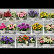 Variedades de macetas con flores artificiales - Img 56117156