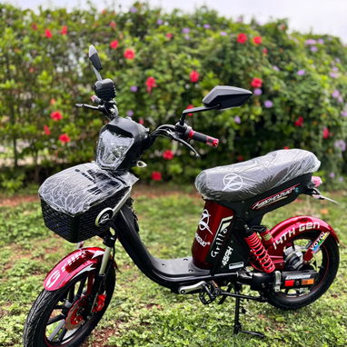 VENDO BICIMOTO MISHOZUKI GRILLO PRO MAX 14 GENERACIÓN [EM] - Img 127084728