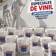 Pintura pinturas - Img 55277585