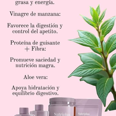 SUPLEMENTOS VEGANOS - Img 122383472