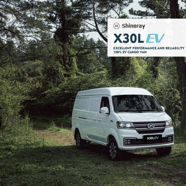 đ VEHĂCULO ELĂCTRICO DE CARGA PARA LOGĂSTICA URBANA MARCA SHINERAY X30LEV - Img 120753737