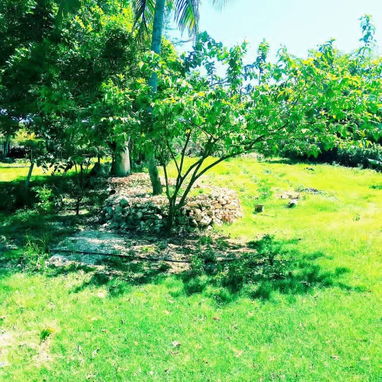 Matanzas cárdenas espectacular finca - Img 119380971