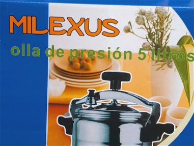Ollas de presión de 5 litros marca milexus - Img main-image