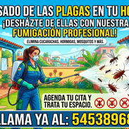 Exterminamos todas las plagas - Img 51880606