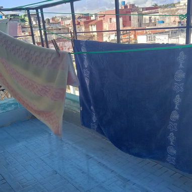 SE VENDEN TENDEDERAS DE NYLON VERDE - 3/3
