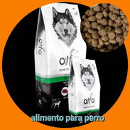 ALIMENTO PARA PERROS - Img 57124616