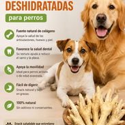 Patas de gallinas deshidratadas para mascotas - Img 55587976