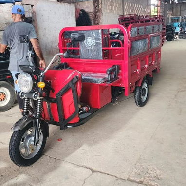 TRICICLO ELÉCTRICO MAF - 3/3