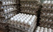Huevos artemisa 🥚 - Img 45516913