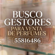 Gestoria de perfumes - Img 56729648