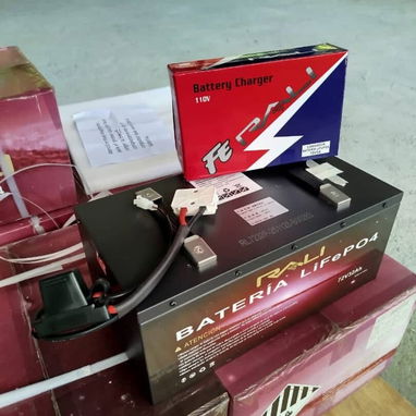 Batería RALI LiFePO₄ 76.8V -32Ah - 2/3