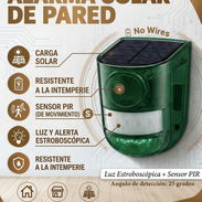 Alarma Solar para paneles con sensor de movimiento. Cienfuegos - Img 57282046