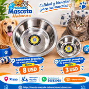 Comederos de acero inoxidable de excelente calidad - Img 57894440