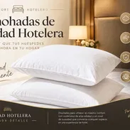 Almohada - Img 57399147