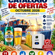 Ventas por contenedores - Img 58298061