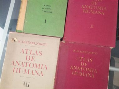 Regalo libros dw anatomía humana - Img main-image-45746779