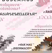BUSCAMOS PELUQUERA - Img 50070911