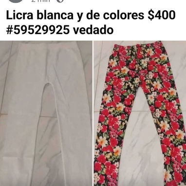 Licras - 3/3