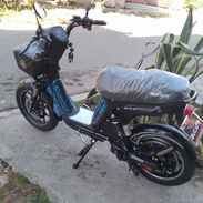 Vendo bucatti ultra 2026 - Img 55230128