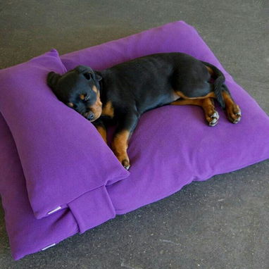 Camas para mascotas el mejora descanso - 2/2