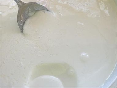 Yogurt de coágulo probiotico beneficioso y saludable para nuestro cuerpo helado y mantequilla - Img 66635605