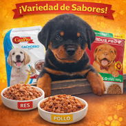 Alimento húmedo para cachorros - Img 55870875