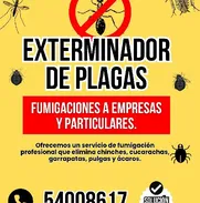 🚫 Cucarachas y  fuera con nuestro servicio - Img 49751766