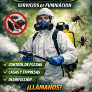 Servicios de fumigación - Img 57107525