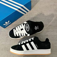 Adidas Campus - Img 56675676