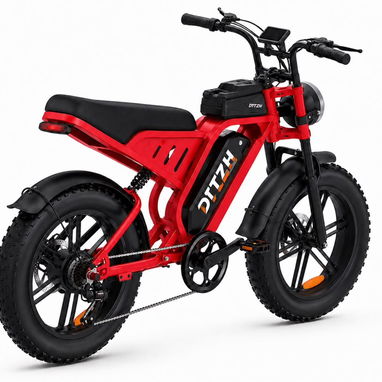 *BICICLETA ELÉCTRICA DTTZH F6* - 10/10