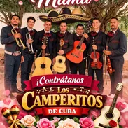 MARIACHI LOS CAMPERITOS - Img 55306575