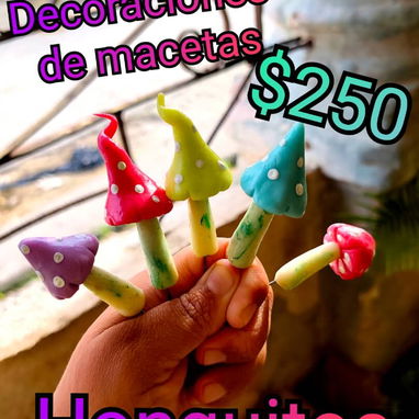 Decoraciones de macetas - 2/2