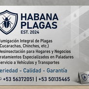 🪳🚫 SERVICIO PROFESIONAL DE FUMIGACIÓN Y EXTERMINIO DE CHINCHES 🚫🪳 - Img 56705268