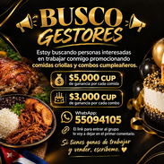 Busco gestores - Img 57985166