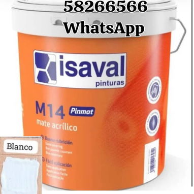 Pintura vinil euroquimica y isaval 15 litros antimoho ATM blanco coco importadas de España - Img 119575965