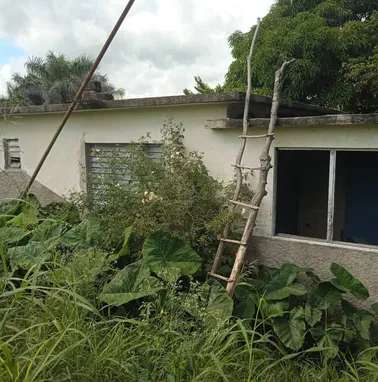 Casa d Placa 3/4 con finca a 30 min d la habana zona d caimito cerca de autopista tiene un rio tierra fértil y frutales - Img 77785884