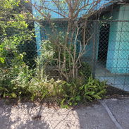 En venta casa de plantas en el Bahía, semindependiente - Img 56891613