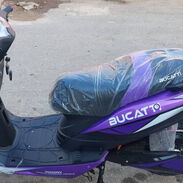 Moto bucatti F2 nueva 0km - Img 45572833