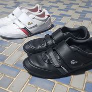 ‼️Vendo Zapatos de Hombre Lacoste‼️ - Img 57188884