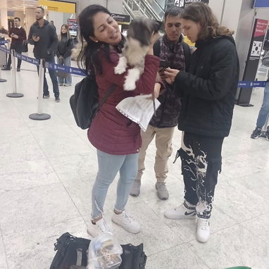 AGENCIA DE VIAJES DE MASCOTA - Img 123866808