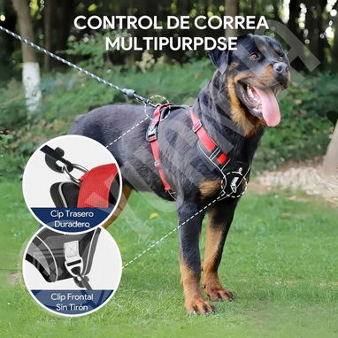 Pecheras de Perro con correa incluida - Img 122233848