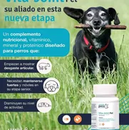 Vita-Joint Pet®* - Img 50940351