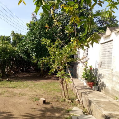 Se vende casa en Potrerillo, precio negociable - Img 124614746