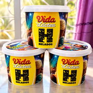 Helados VIDA LACTEA - Img 58408478