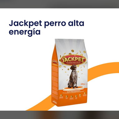 COMIDA PARA PERROS Y GATOS - Img 122090215