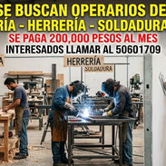 Se buscan trabajadores - Img 54483208