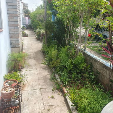 En oferta!!!! Casa independiente de 3 cuartos y garaje cerrado con patio y jardín en excelente zona de Playa!!!! - Img 83227675