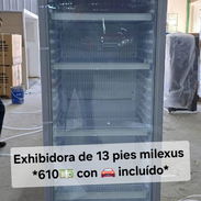 Exhibidora de 13 pie Milexus con transporte incluido, voy pa ti 💯 - Img 56901283