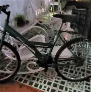 Bicicleta - Img 45956652